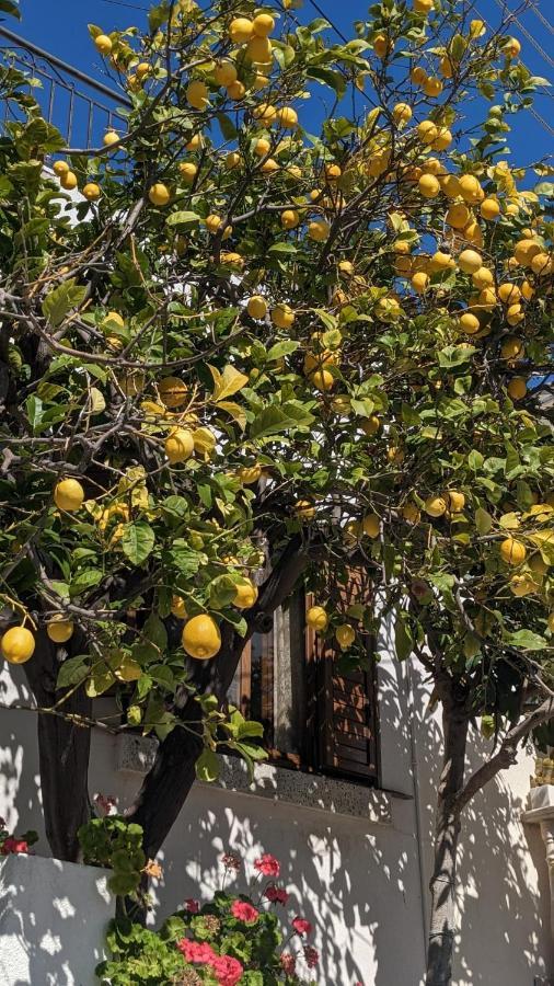 P.Gardens 103 Διαμέρισμα Πέγεια Εξωτερικό φωτογραφία